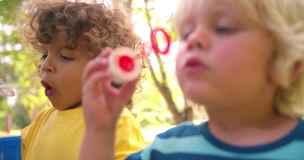 Kinderen die blazen van zeepbellen in een park — Stockvideo