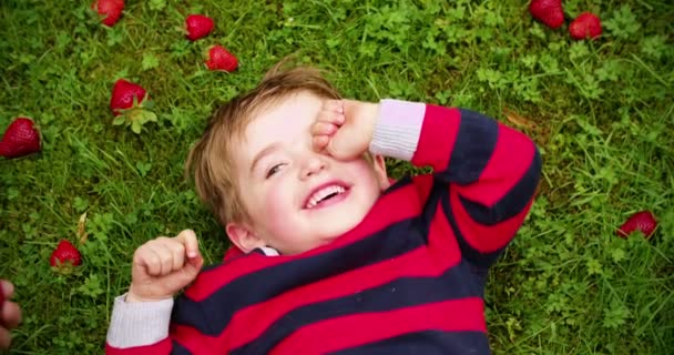 Mały chłopiec jeść truskawki — Wideo stockowe