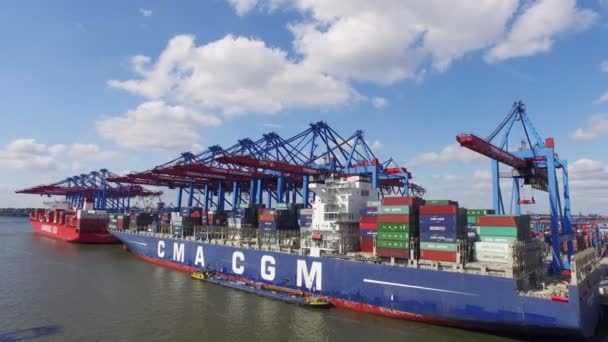 Containerschepen en containers — Stockvideo