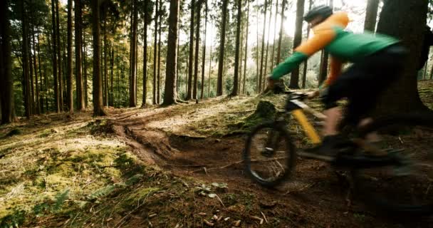 Ciclista de descenso en el bosque — Vídeos de Stock