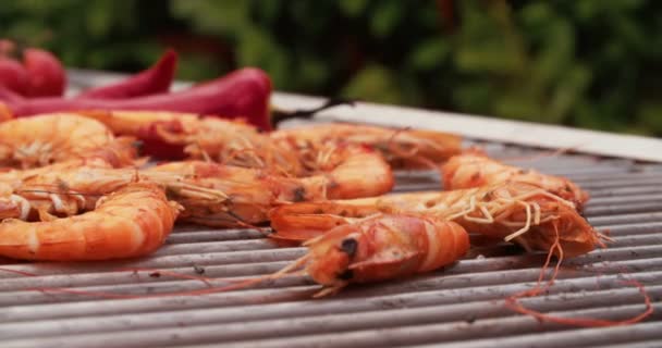 Langostinos con condimento chillie cocinar — Vídeos de Stock