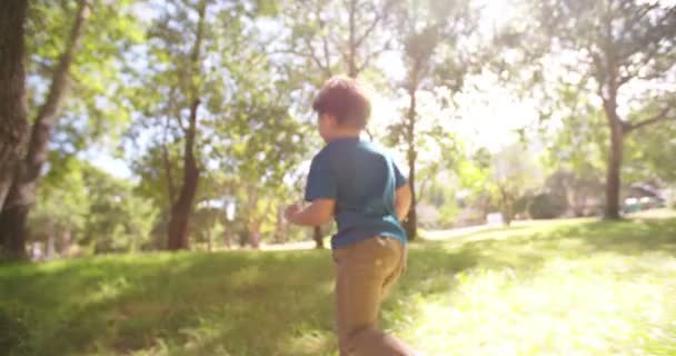 Маленький мальчик бежит по полю — стоковое видео
