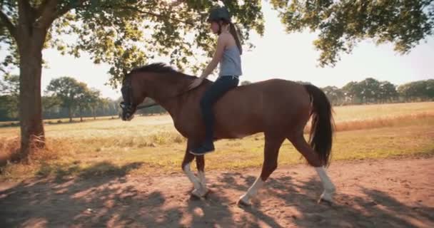 Flicka rider en vacker häst — Stockvideo