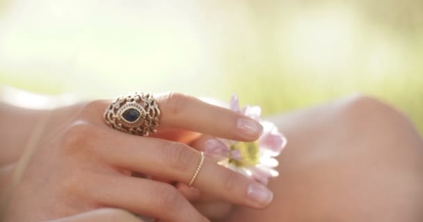 Girl holding a flower — Stock Video