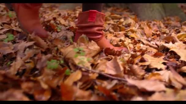 Femme marchant à travers les feuilles d'automne — Video