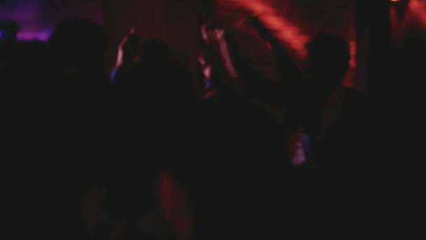 Silhouettes of party crowd in Night Club — Stock Video