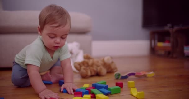 Niño masticando un bloque de construcción colorido — Vídeos de Stock