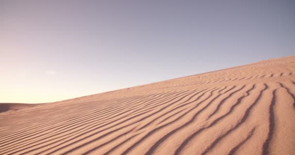 Quad motociclista dirigindo em uma duna de areia — Vídeo de Stock