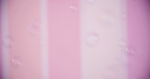 Bubbles flying in front of pink wallpaper — Stock Video