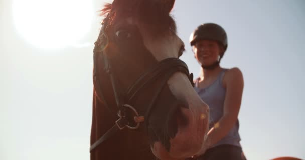 Tiener meisje met een helm op paardrijden haar paard — Stockvideo