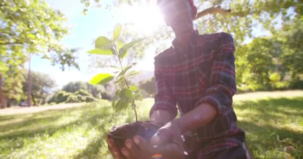 Farmer planting new tree — Stock Video