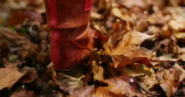 Mujer caminando a través de hojas de otoño — Vídeos de Stock