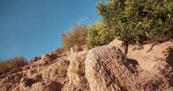 Ciclista de montaña montando por un sendero de tierra — Vídeos de Stock