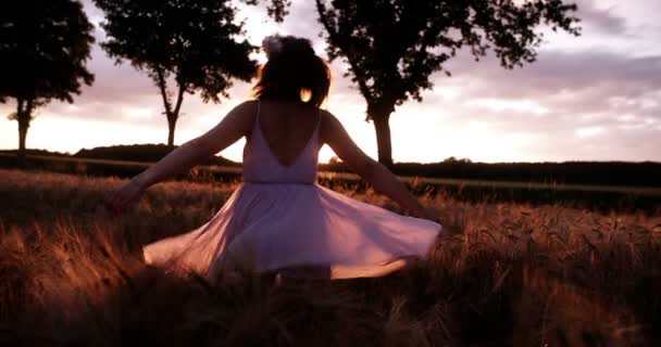 Woman twirling in wheat field — Stock Video