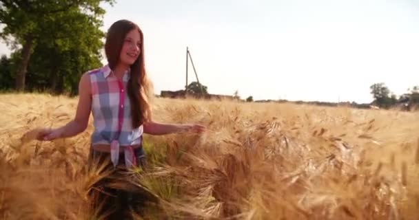 Young girl walking through wheat field — Stock Video