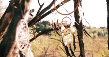 rüya yakalayıcı sonbaharda vahşi doğada