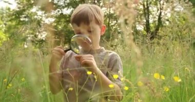 oğlan çiçeği büyüteç ile teftiş