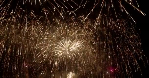 Artificii împotriva cerului negru — Videoclip de stoc