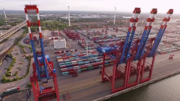 Contenitore di carico nel porto di Amburgo — Video Stock