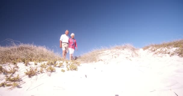 Gepensioneerde paar op het strand samen — Stockvideo