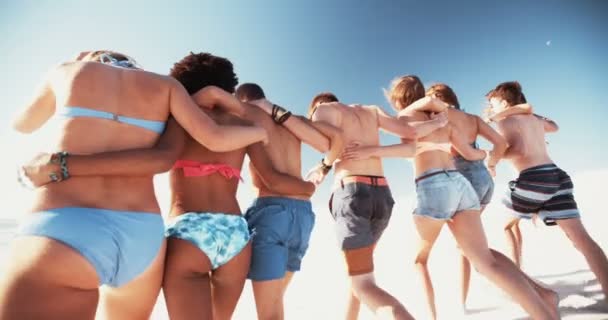 Друзья, гуляющие вместе по пляжу — стоковое видео