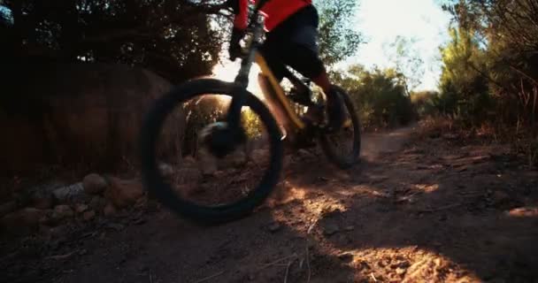 Mountain biker riding on a dirt path — Stock Video