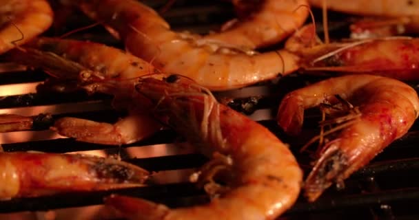 Crevettes avec assaisonnement épicé grill — Video