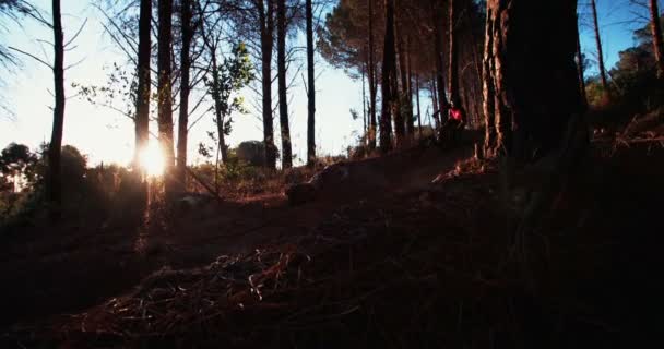 Ciclista de montaña en una pista forestal salvaje — Vídeos de Stock