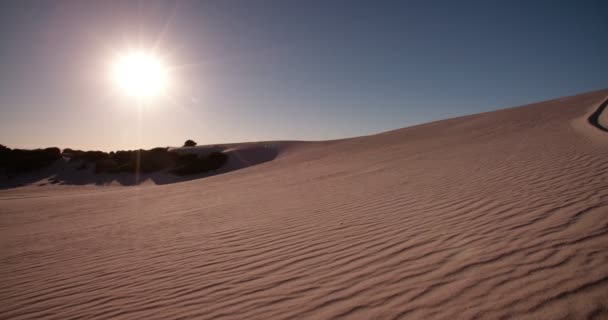 Quad motociclista corrida em dunas de areia — Vídeo de Stock