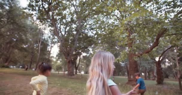 Kinderen uitgevoerd en jagen bubbels in park — Stockvideo