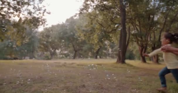 Friends playing with bubbles in park — Stock Video