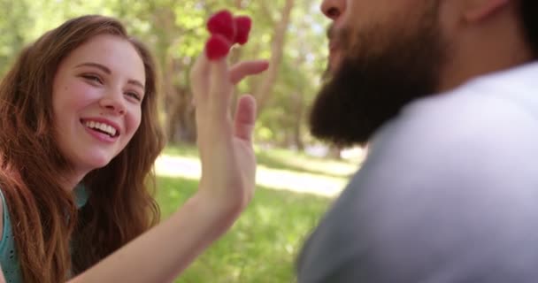 Menina alimentando seu namorado framboesas — Vídeo de Stock