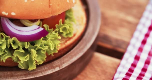Hamburger di formaggio gourmet — Video Stock