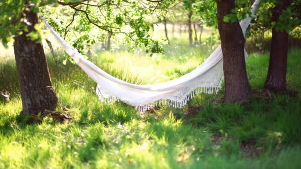 Leere Hängematte im Park — Stockvideo