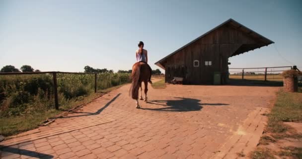 Chica en una exuberante granja verde montando su caballo — Vídeos de Stock