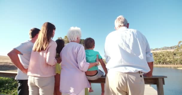 Achteraanzicht van een drie-generatie familie — Stockvideo