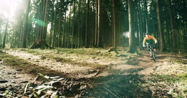 Ciclista de descenso en el bosque — Vídeo de stock