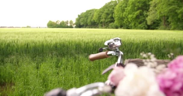 Oldtimer-Fahrrad mit Blumen im Korb — Stockvideo