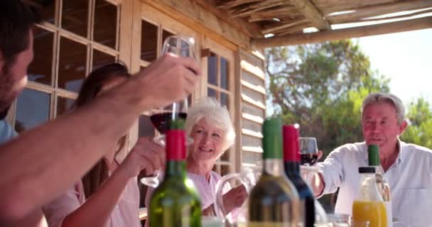 Familia de tres generaciones brindando entre sí — Vídeos de Stock