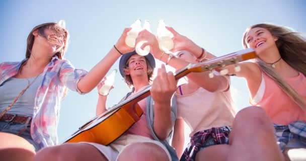 Amigos dizendo saúde com alcopops ao ar livre — Vídeo de Stock