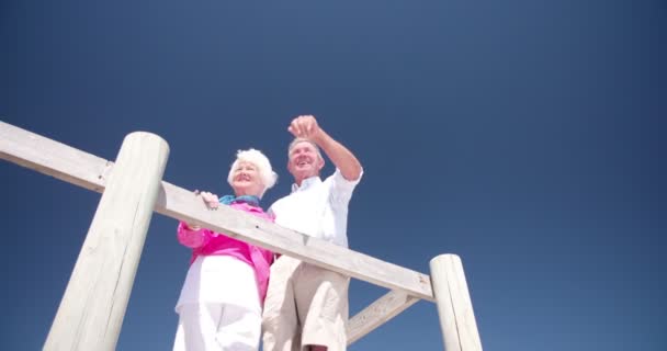 Пожилая пара наслаждается отдыхом на пляже — стоковое видео