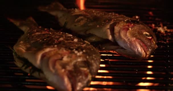 Två hela fisk grillning — Stockvideo