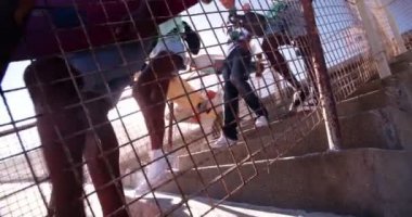 Basamaklardan iniyor spor ayakkabı giyen gençler