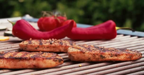 Filetes de porco e pimentos de jalapeno — Vídeo de Stock