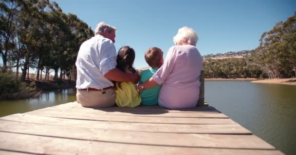 Großeltern mit ihren Enkeln — Stockvideo