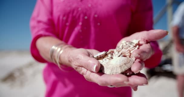 Woman holding collection of sea shells — Stock Video