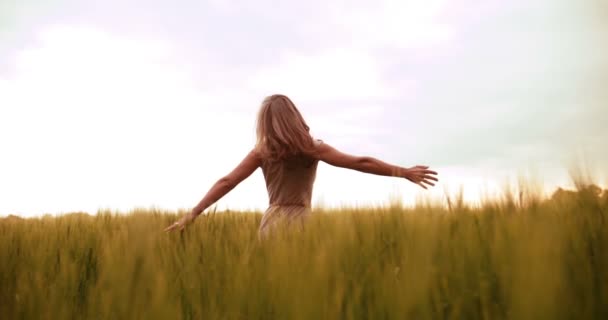 Woman spinning happily in wheat field — Stock Video