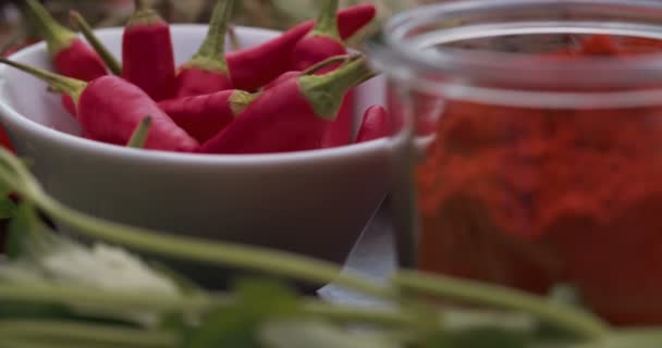 Fresh chillies, paprika powder — Stock Video