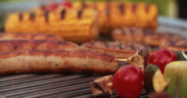 Parrilla de barbacoa con salchichas, pollo y verduras cocinadas — Vídeos de Stock