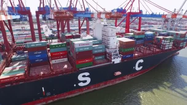 Container ships and containers — Stock Video